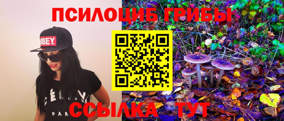 Кыштым  Псилоцибиновые грибы MAGIC MUSHROOMS  Вход с VPN 